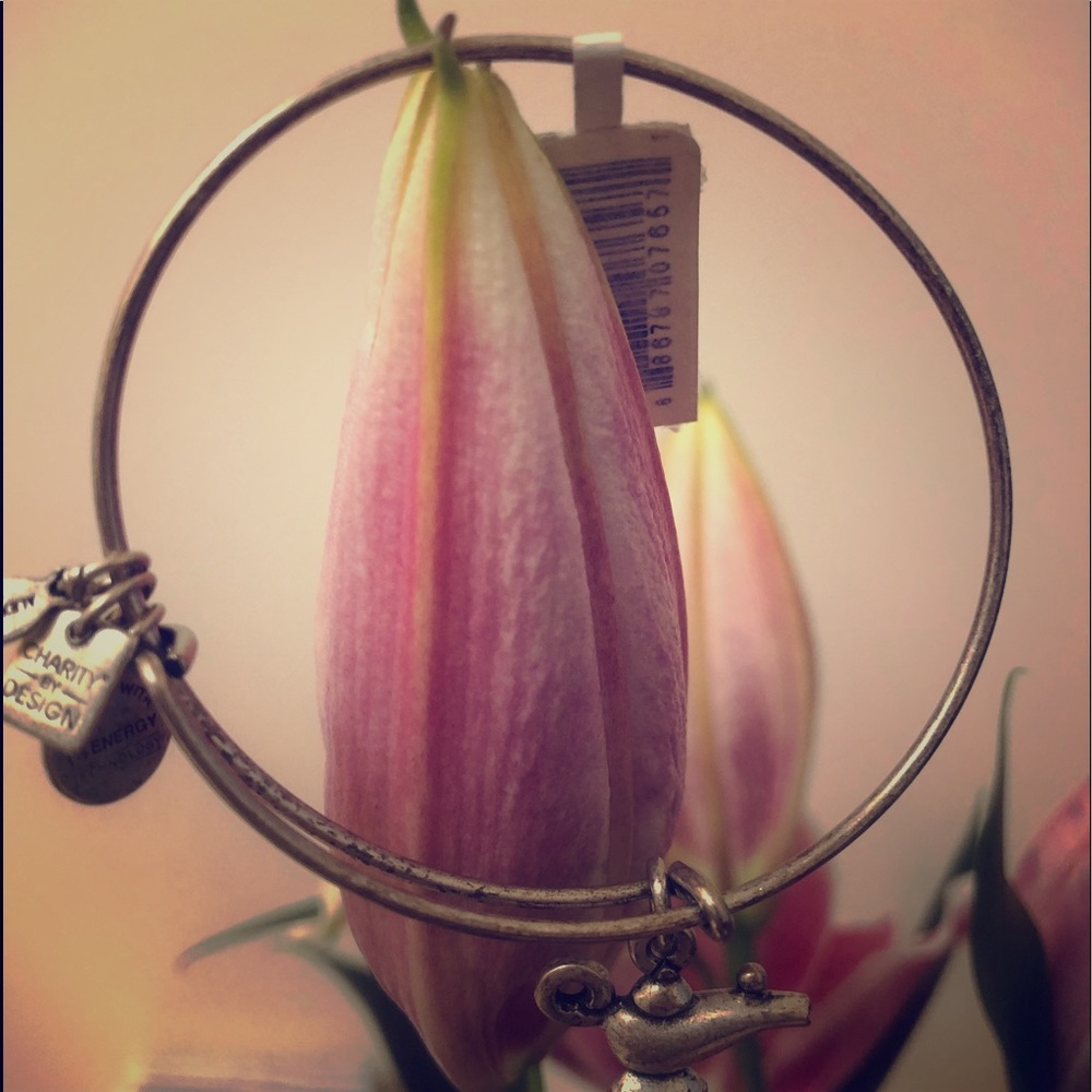 Alex and Ani charity by design lamp of light